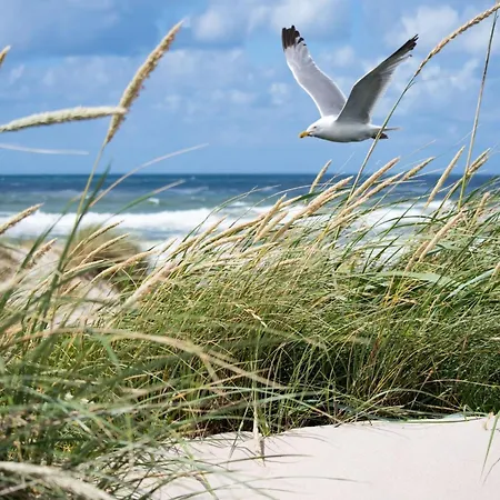 In Duinbergen With Sea Views Apartment Knokke-Heist